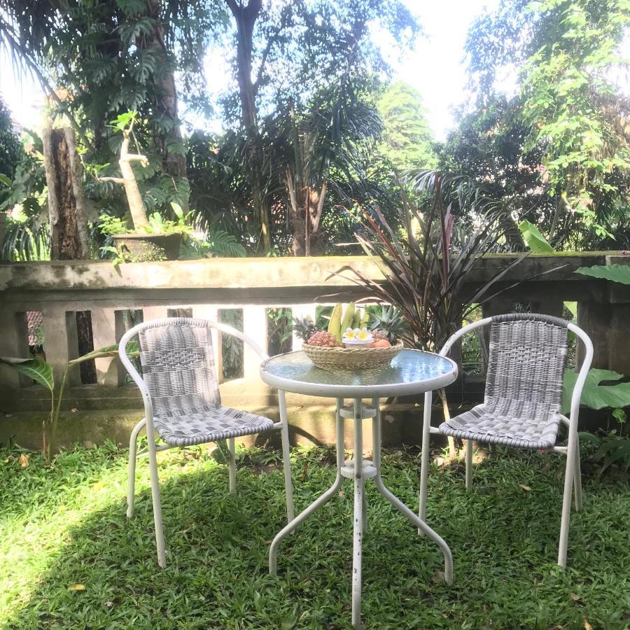 Griya Telaga Jumpung Apartment Ubud  Bagian luar foto