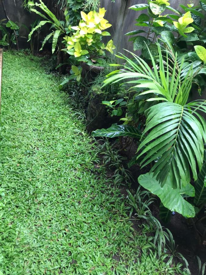 Griya Telaga Jumpung Apartment Ubud  Bagian luar foto